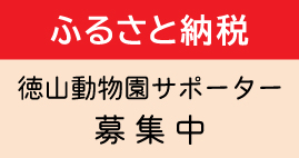 ふるさと納税