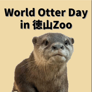 【終了しました】World Otter Day in 徳山Zoo