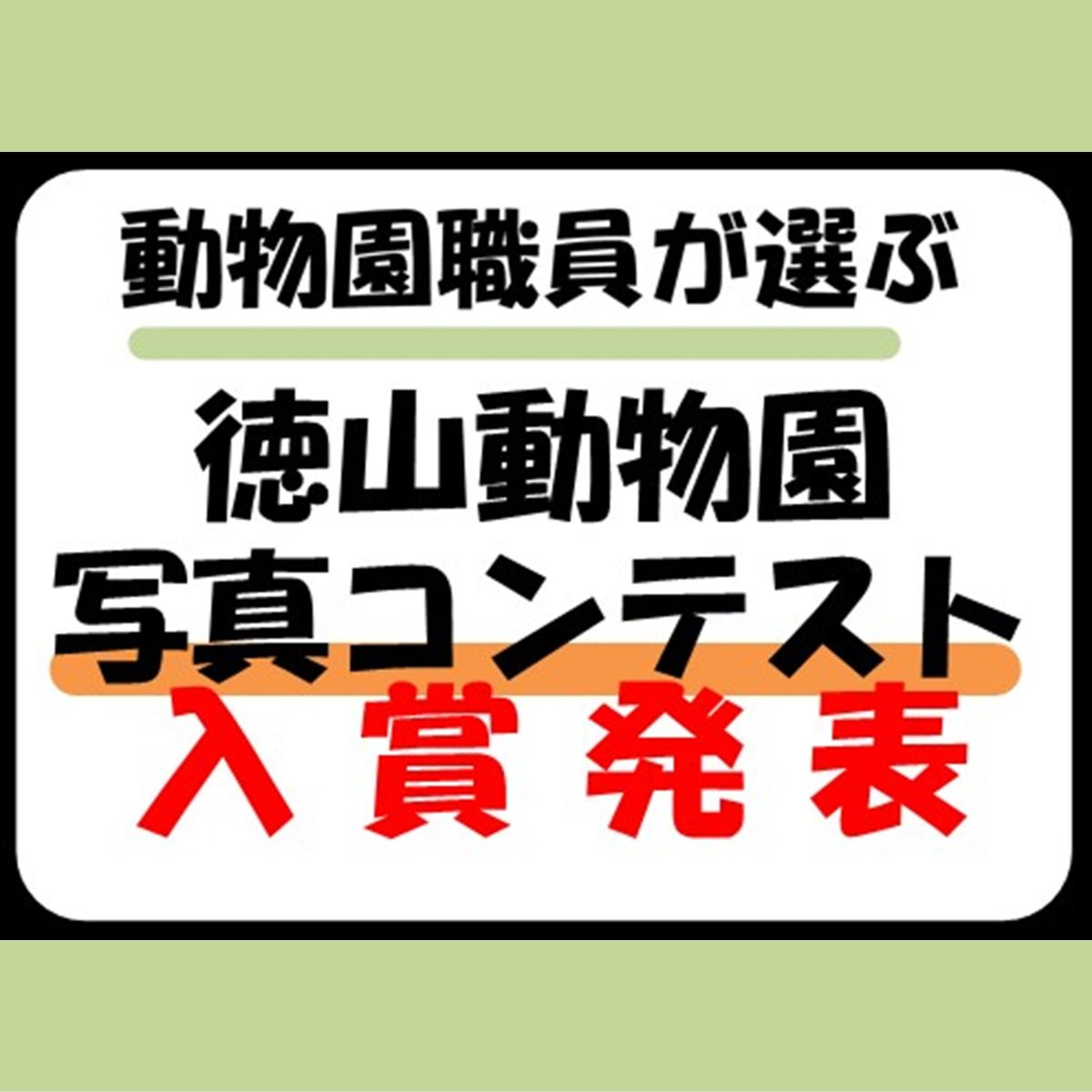 動物園職員が選ぶ 徳山動物園写真コンテスト入賞発表