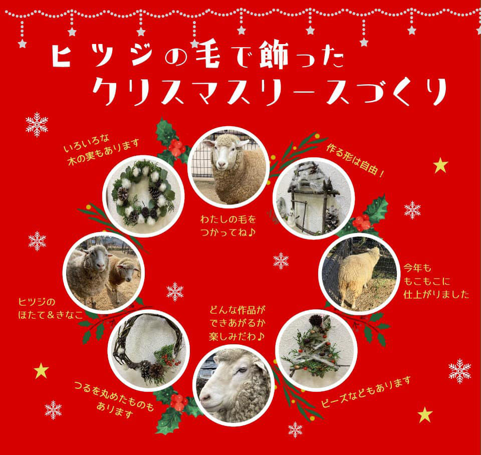 ヒツジの毛で飾ったクリスマスリース作り