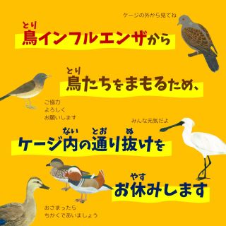 野鳥観察所の通り抜け展示の休止について