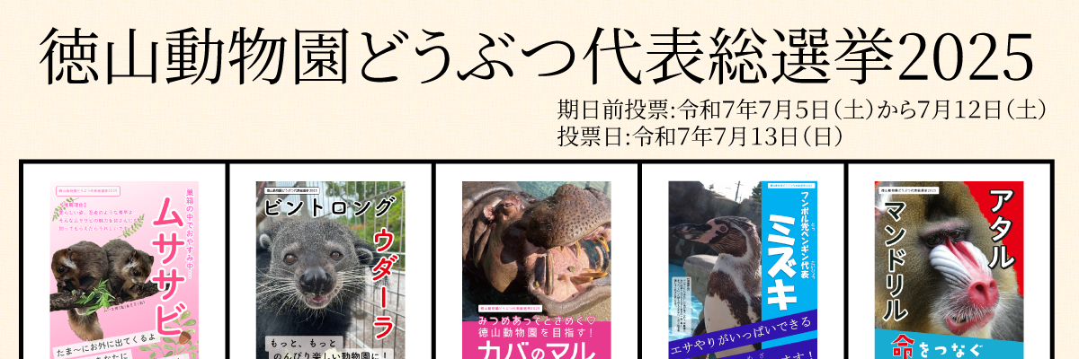 徳山動物園どうぶつ代表総選挙2025